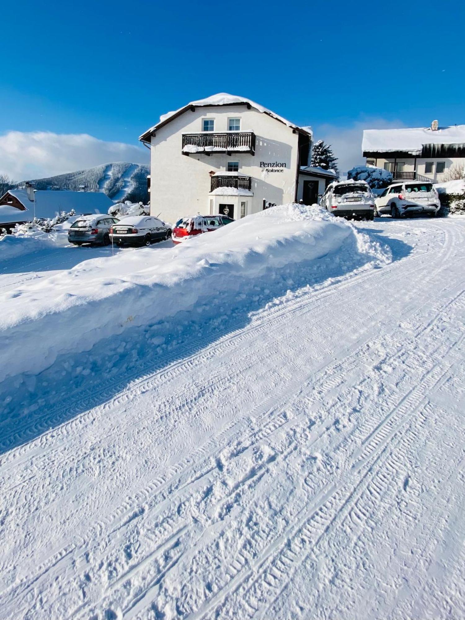 Penzion V Kolonce Strážné Kültér fotó